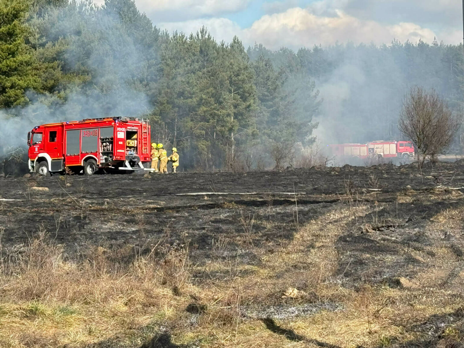 pożar Trzebiech&oacute;w - pożar traw koło Sulechowa