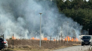 pożar Trzebiechów - pożar traw koło Sulechowa