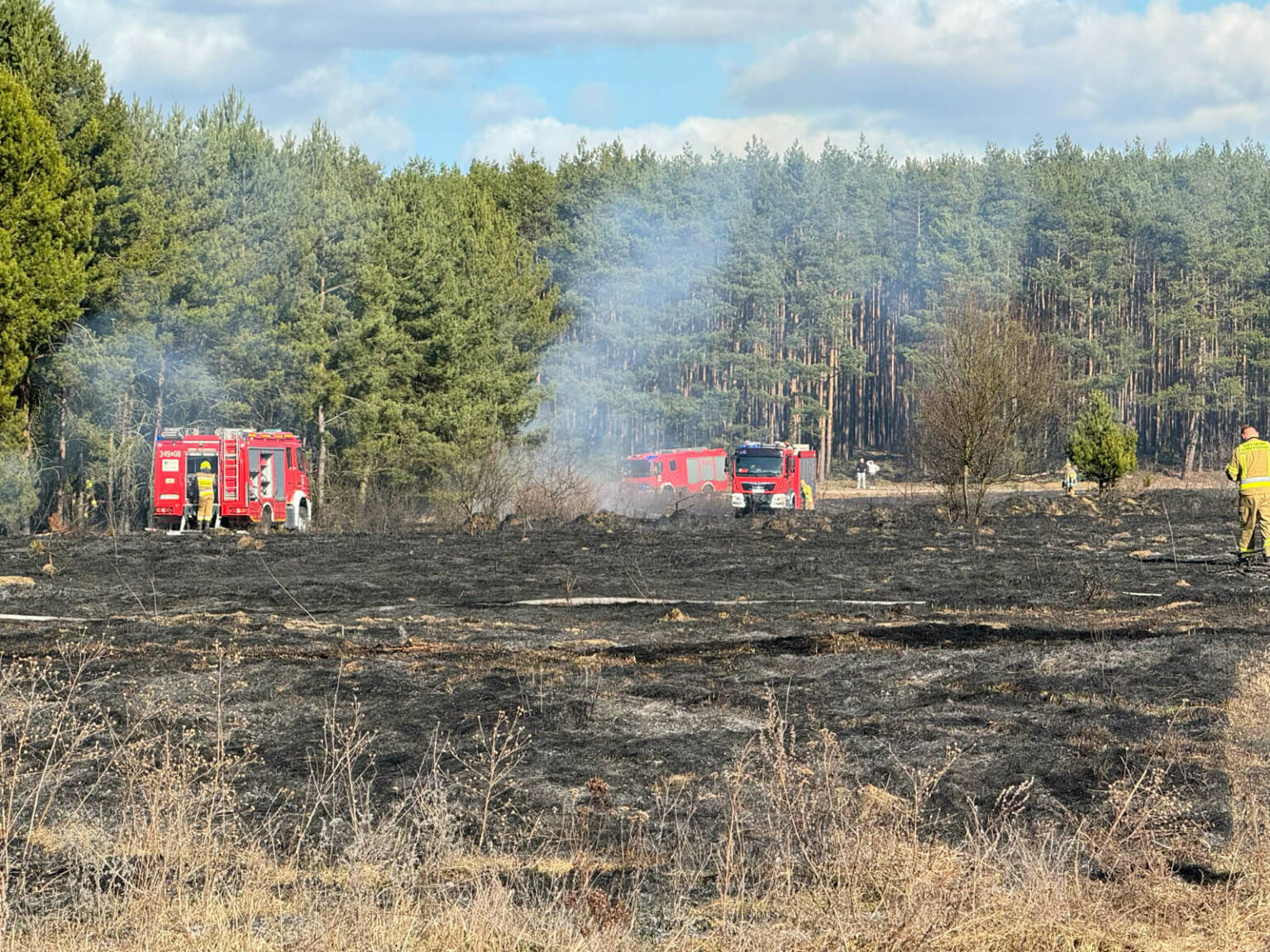 pożar Trzebiech&oacute;w - pożar traw koło Sulechowa