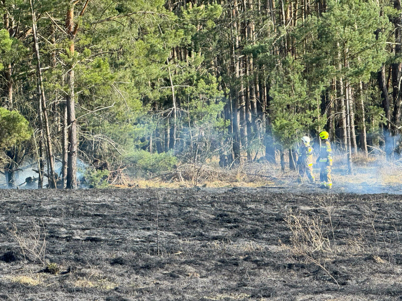 pożar Trzebiech&oacute;w - pożar traw koło Sulechowa