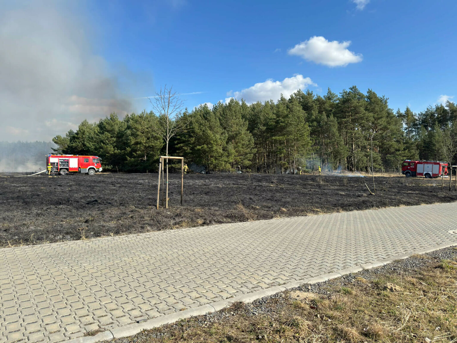 pożar Trzebiech&oacute;w - pożar traw koło Sulechowa