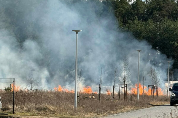 pożar Trzebiechów - pożar traw koło Sulechowa