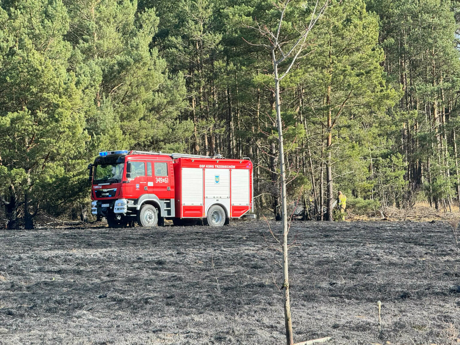 pożar Trzebiech&oacute;w - pożar traw koło Sulechowa