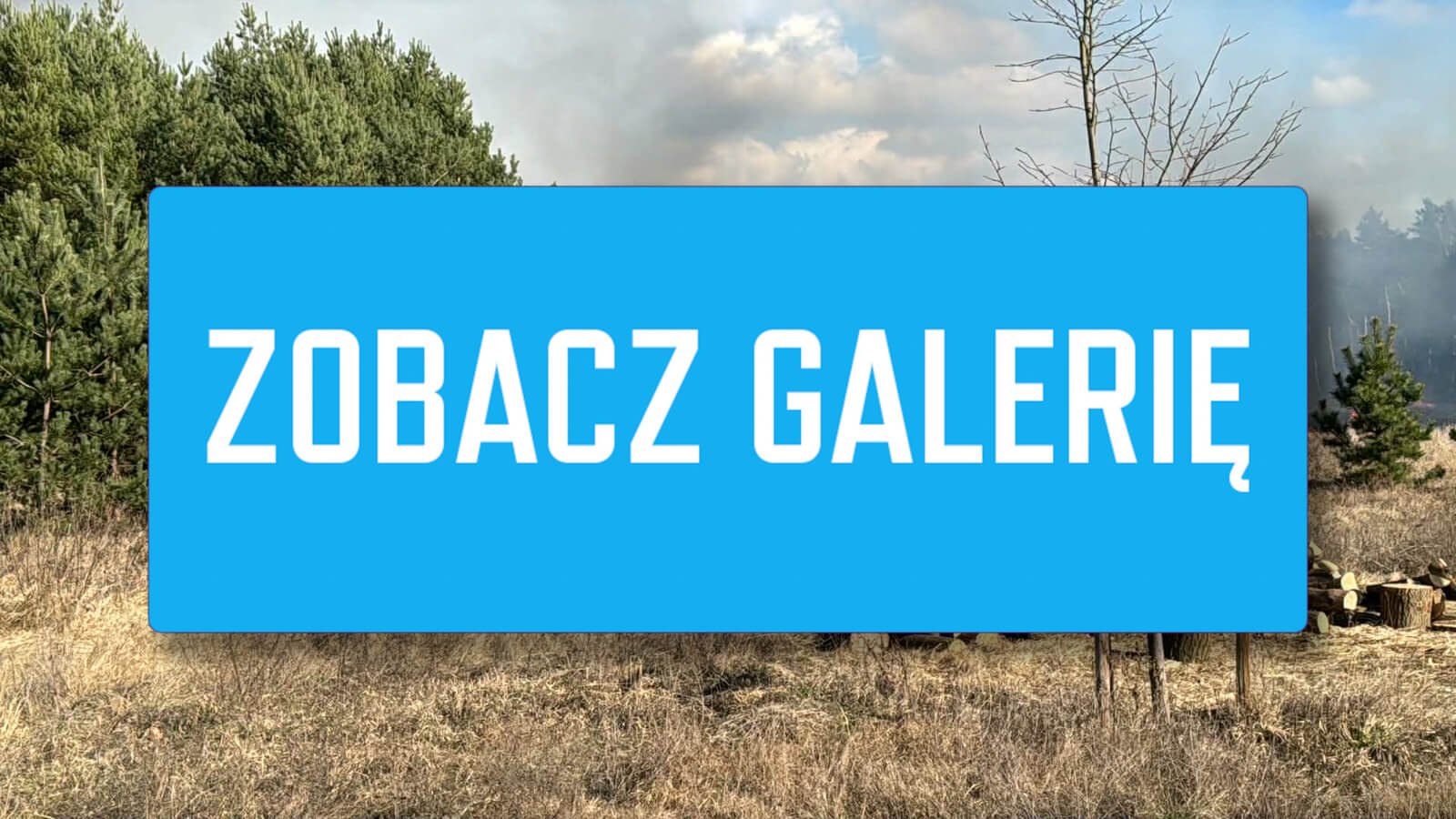 pożar Trzebiechów - pożar traw koło Sulechowa