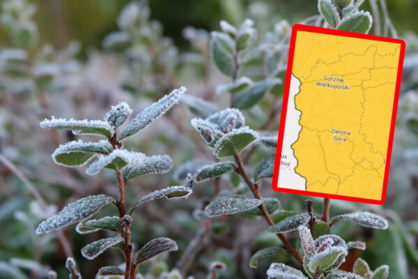 przymrozki Lubuskie - IMGW ostrzeżenie