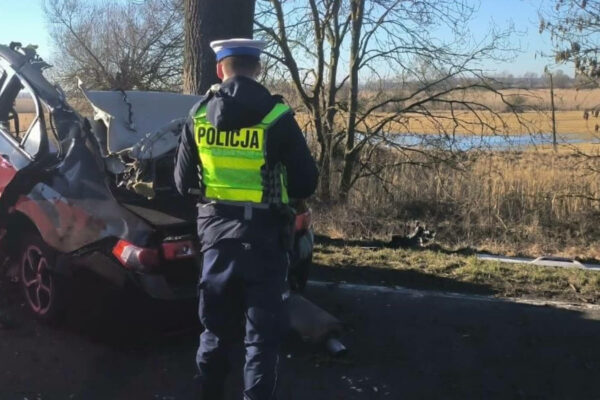 wypadek DK22 zdjęcie - Honda Accord wypadek