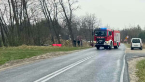 Tragiczny wypadek na DW295 pod Nowogrodem Bobrzańskim. Droga zablokowana (ZDJĘCIA)