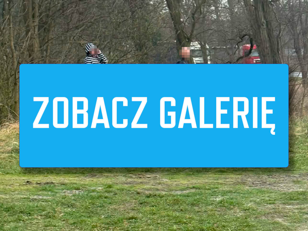 śmiertelny wypadek na DW295 - tragiczny wypadek Nowogród Bobrzański