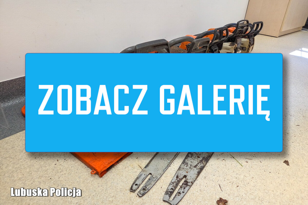 włamanie kradzież - policja Krosno Odrzańskie