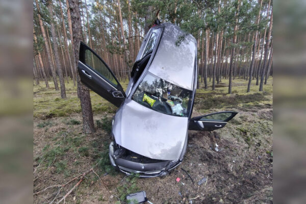 wypadek DK27 Dąbrowiec Nowogród Bobrzański - auto uderzyło w drzewo
