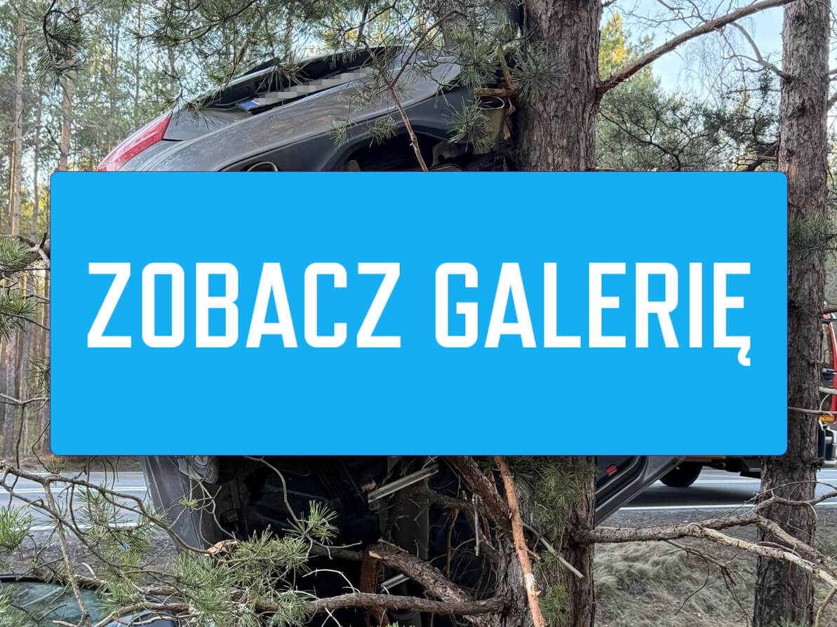 Groźna kraksa na DK27. Auto stanęło w pionie po uderzeniu w drzewo wypadek DK27 Dąbrowiec Nowogród Bobrzański - auto uderzyło w drzewo