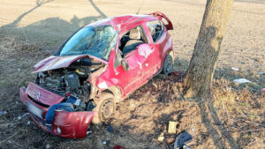 Groźny wypadek. Auto rozbite o drzewo koło Wschowy. Zostawił ranne dziecko i uciekł
