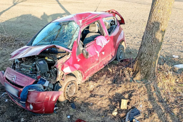 wypadek Wschowa - auto uderzyło w drzewo