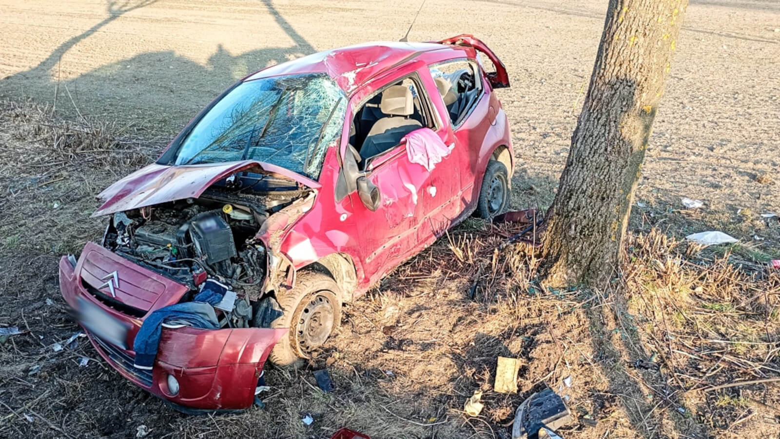 wypadek Wschowa - auto uderzyło w drzewo