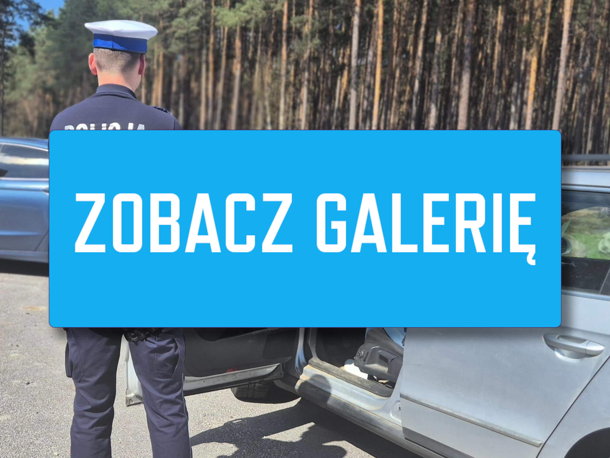 akcja policji Zielona Góra prędkość - utrata prawa jazdy prędkość