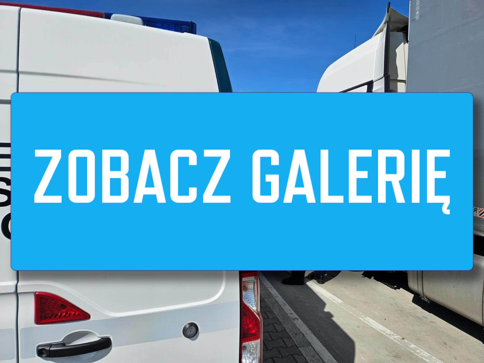 awantura MOP Racula - znieważenie funkcjonariusza Zielona Góra