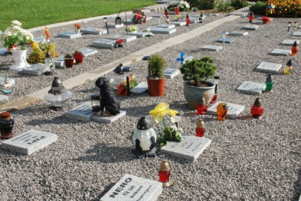 grzebowisko dla zwierząt Zielona Góra - cmentarz dla zwierząt