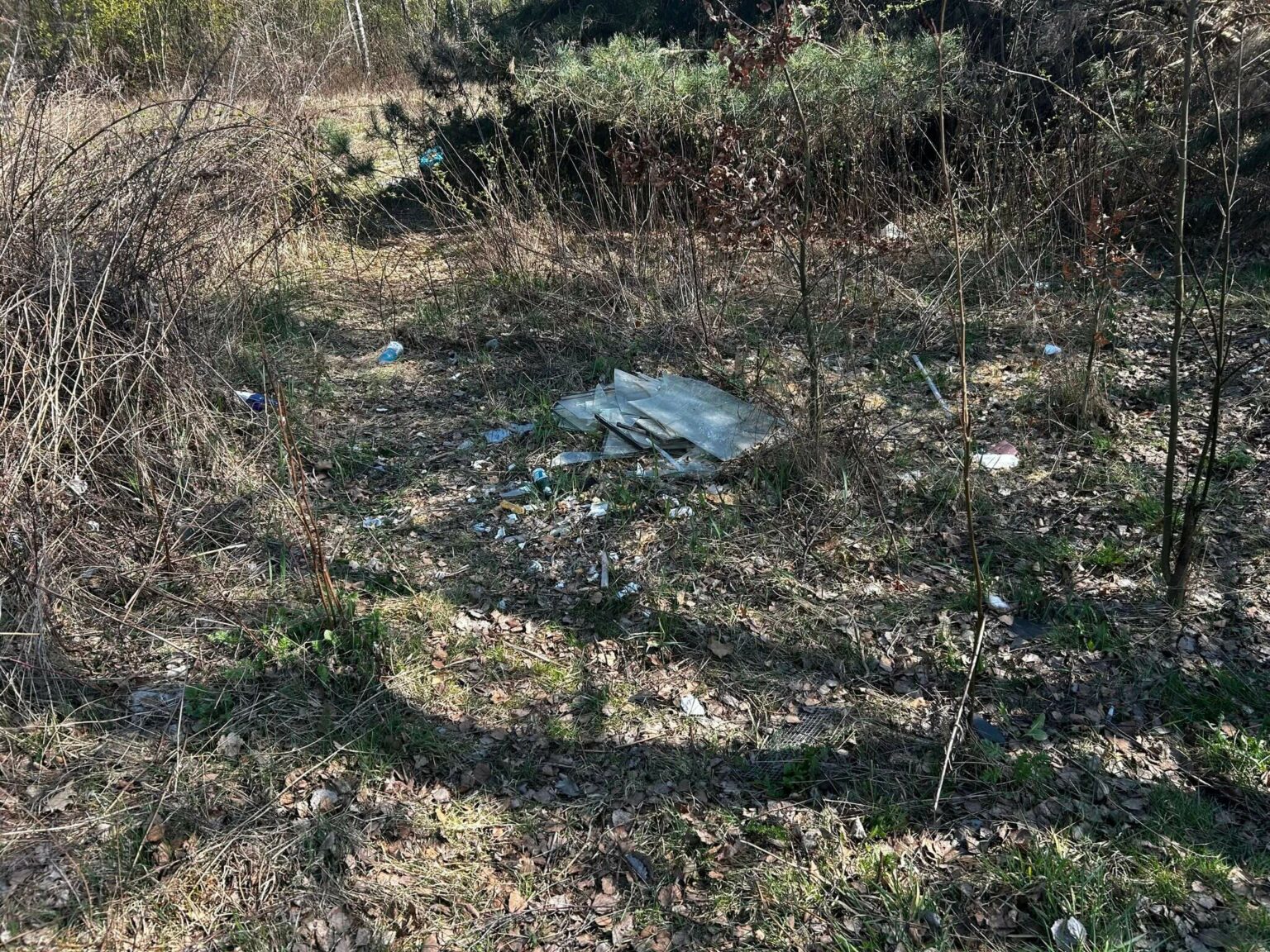 fotopułapka Żary śmieci mandat - Straż Miejska Żary interwencja