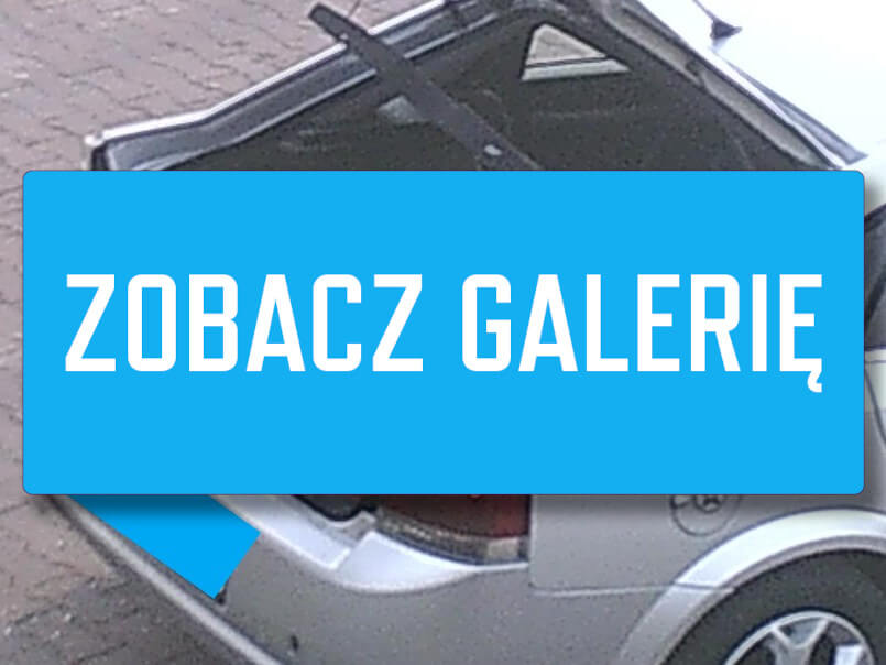 fotopułapka Żary śmieci mandat - Straż Miejska Żary interwencja