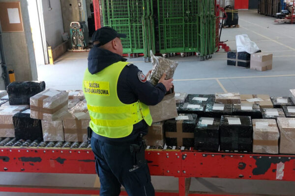 nielegalny tytoń Zielona Góra - kontrola sortowni paczek