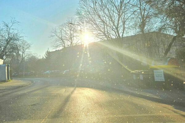 oślepiające słońce kierowcy - bezpieczeństwo na drodze słońce