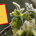 alert IMGW Lubuskie - przymrozki Lubuskie