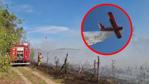 Pożar koło Zielonej Góry. W akcji samolot gaśniczy i 8 zastępów straży pożarnej (FILM)