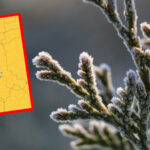 przymrozki Lubuskie - alert IMGW