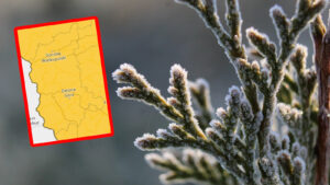 przymrozki Lubuskie - alert IMGW