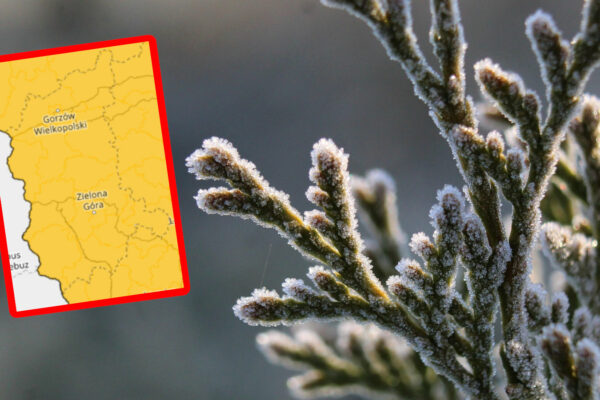 przymrozki Lubuskie - alert IMGW