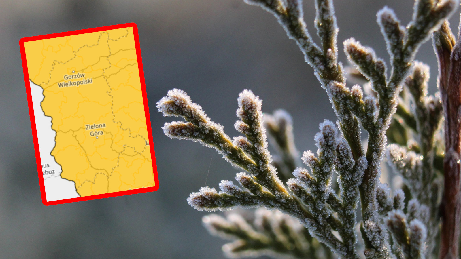 przymrozki Lubuskie - alert IMGW