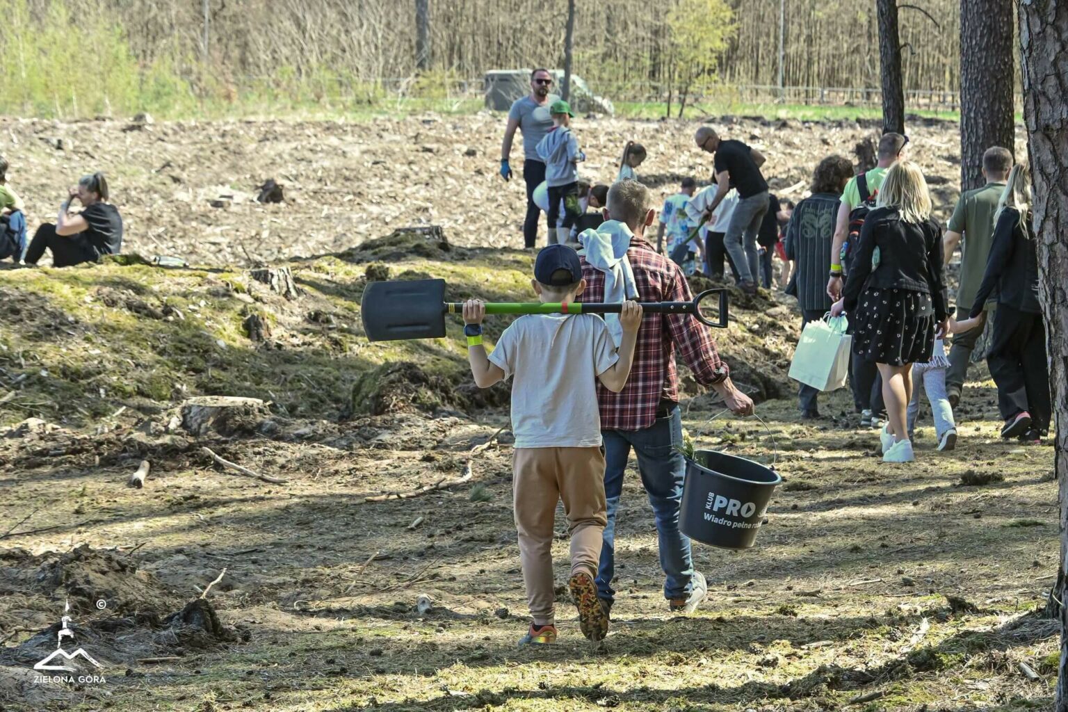 posadzili las Zielona G&oacute;ra - H2Ochla Zielona G&oacute;ra