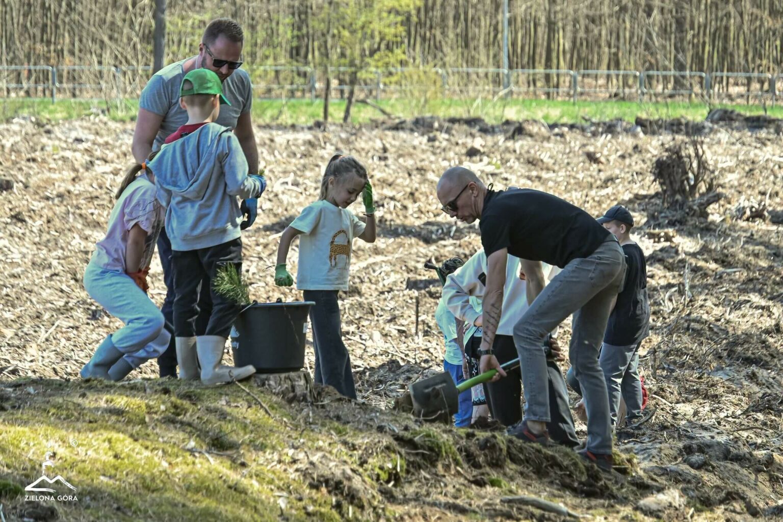 posadzili las Zielona G&oacute;ra - H2Ochla Zielona G&oacute;ra