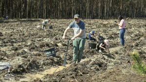 Mieszkańcy Zielonej Góry ruszyli do lasu. Posadzili tysiące drzew (ZDJĘCIA)