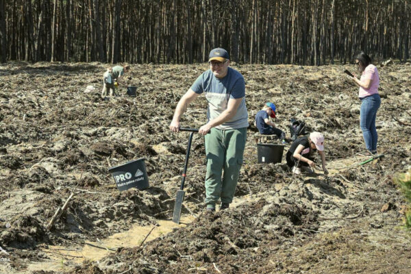 posadzili las Zielona Góra - H2Ochla Zielona Góra