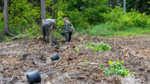 posadźmy razem las Zielona Góra - sadzenie drzew akcja