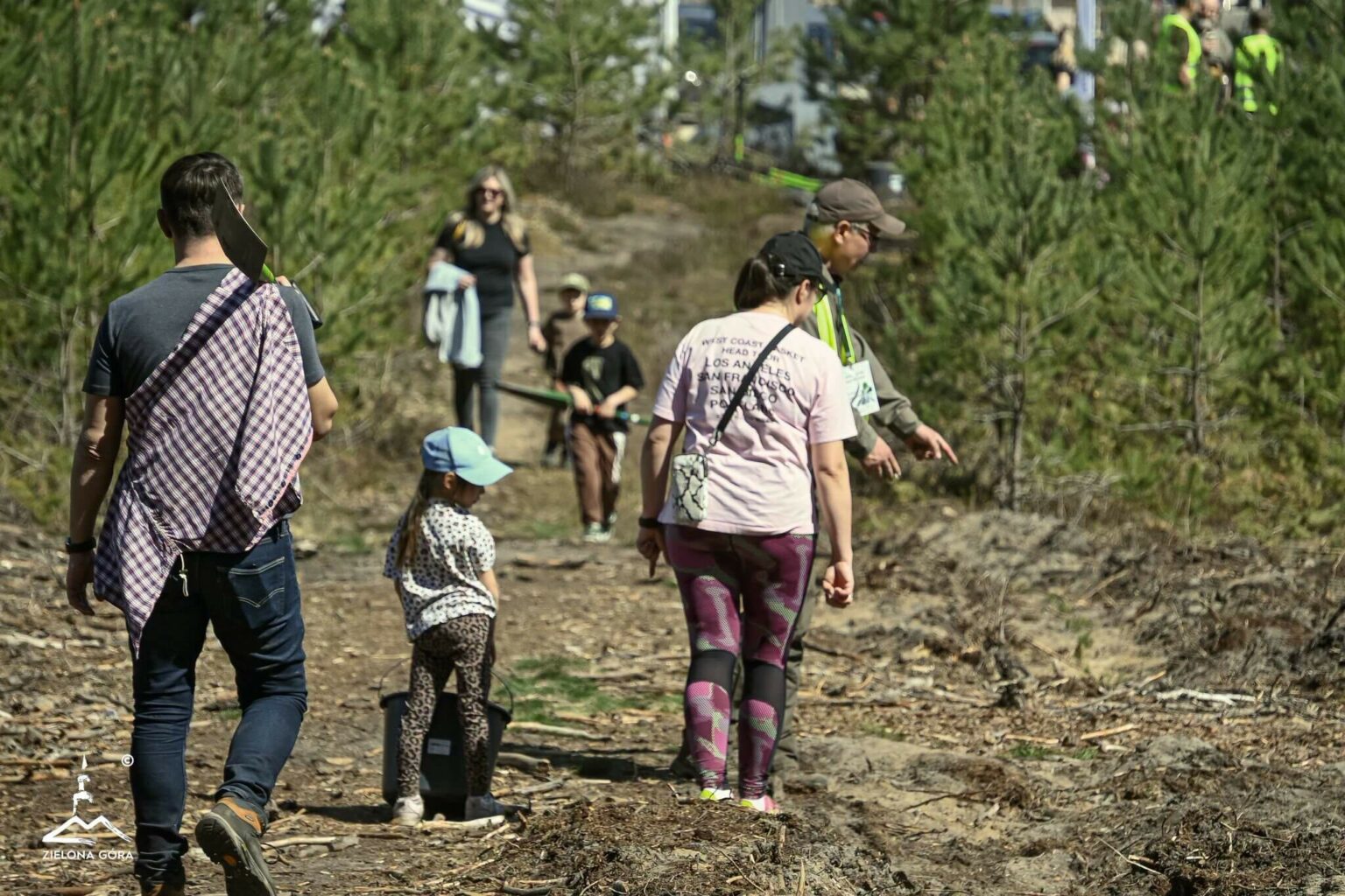 posadzili las Zielona G&oacute;ra - H2Ochla Zielona G&oacute;ra