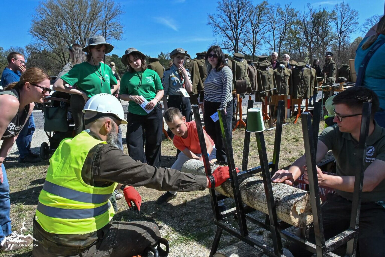 posadzili las Zielona G&oacute;ra - H2Ochla Zielona G&oacute;ra