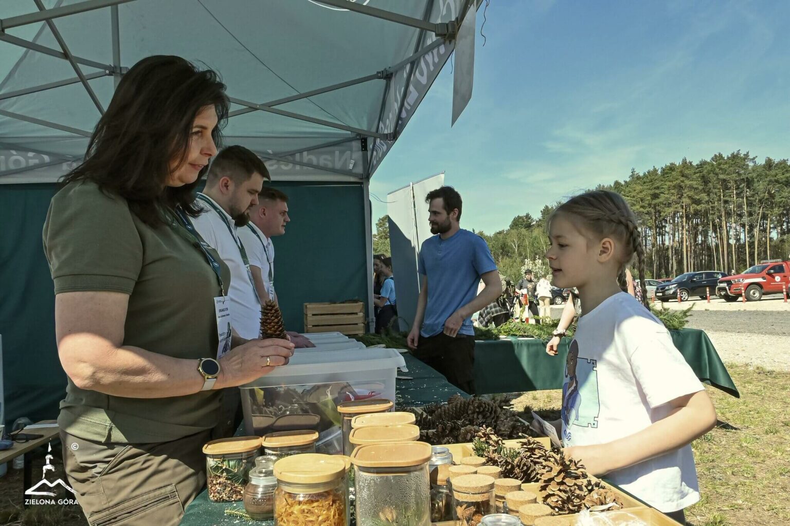 posadzili las Zielona G&oacute;ra - H2Ochla Zielona G&oacute;ra