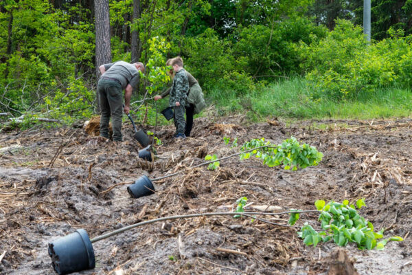 posadźmy razem las Zielona Góra - sadzenie drzew akcja