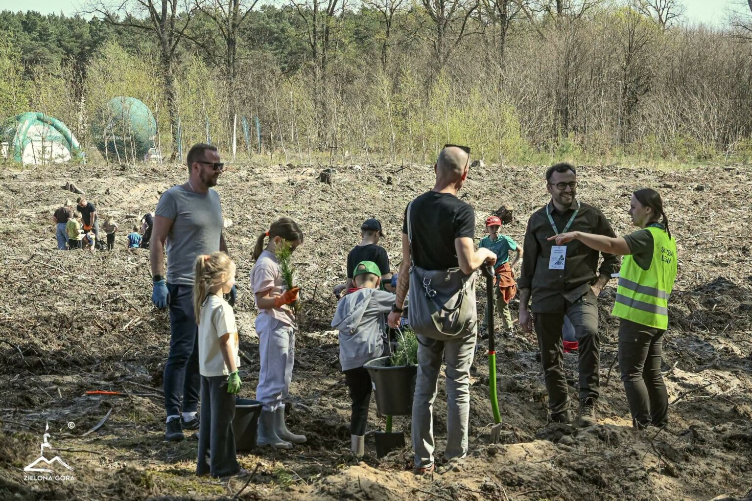 posadzili las Zielona G&oacute;ra - H2Ochla Zielona G&oacute;ra