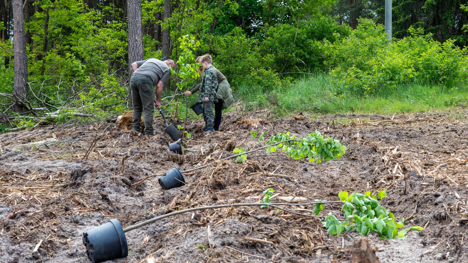 posadźmy razem las Zielona Góra - sadzenie drzew akcja