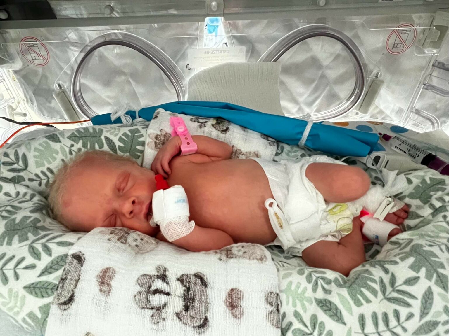 trojaczki Zielona G&oacute;ra - szpital Zielona G&oacute;ra neonatologia