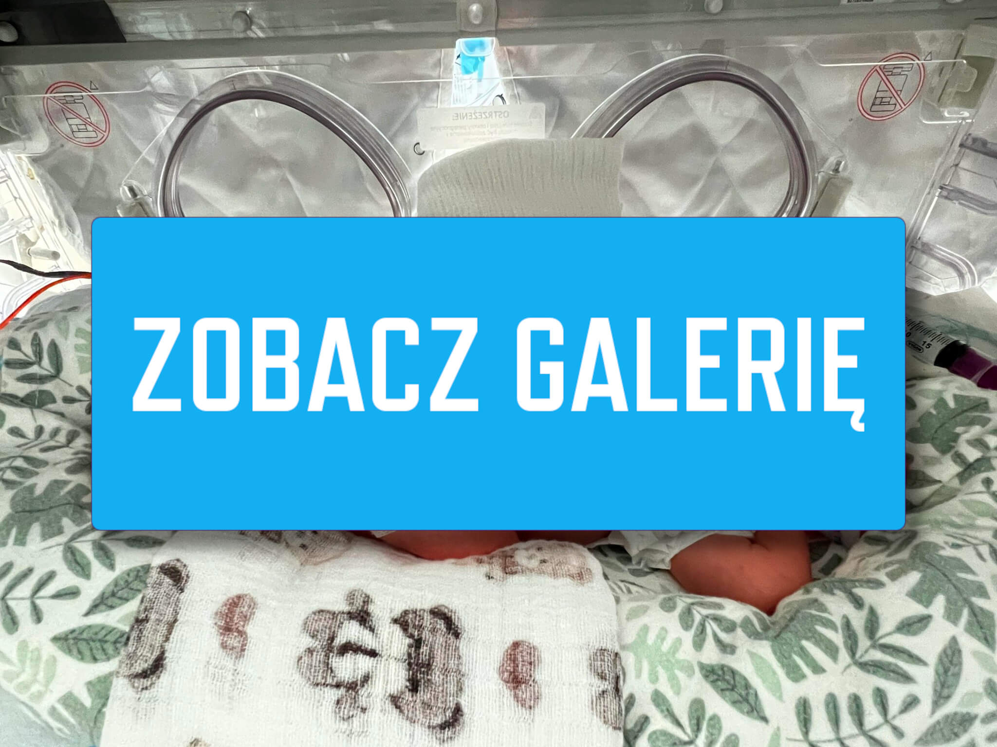 trojaczki Zielona Góra - szpital Zielona Góra neonatologia