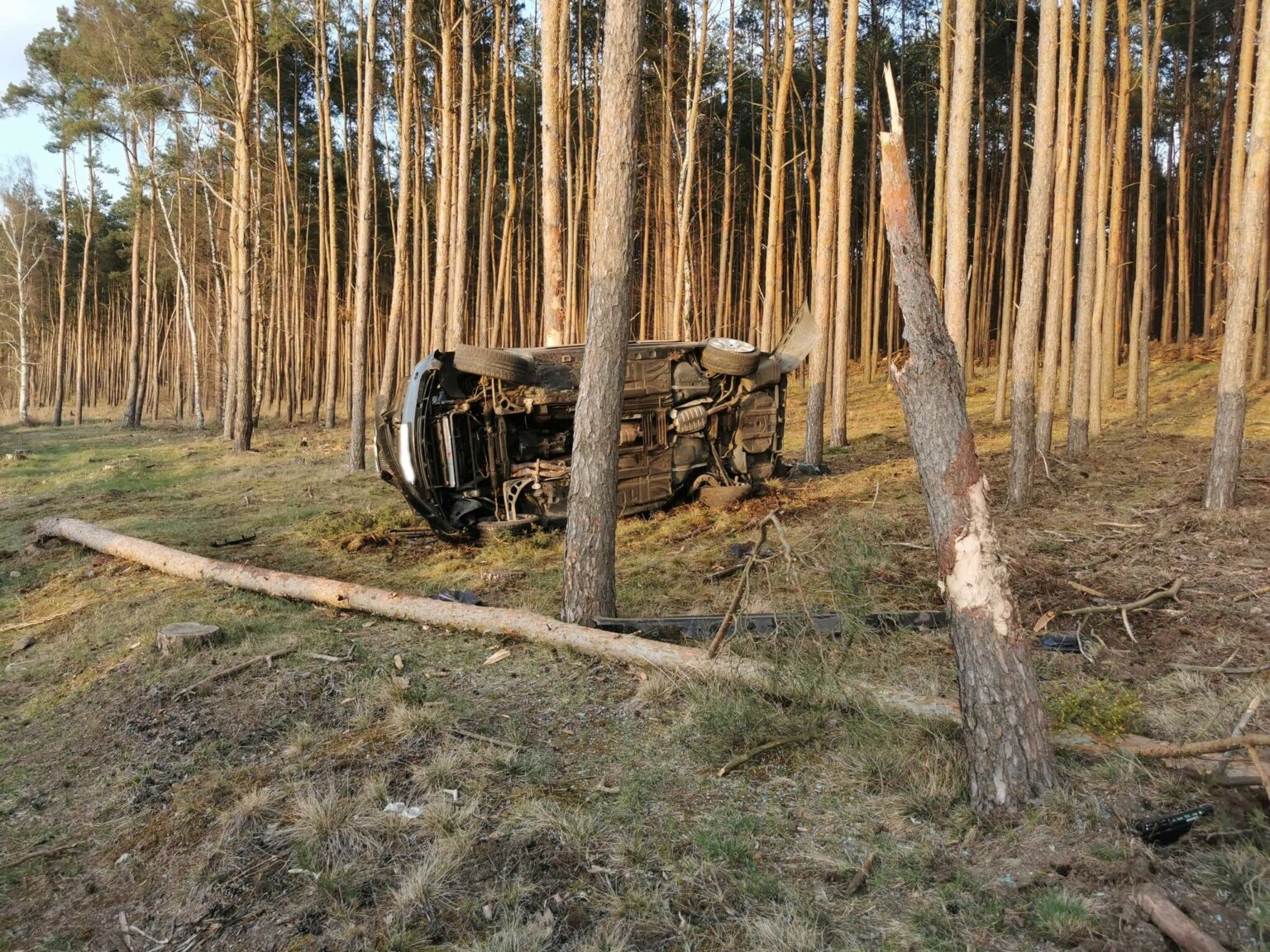 wypadek Cybinka Lubuskie - uderzył w drzewo BMW