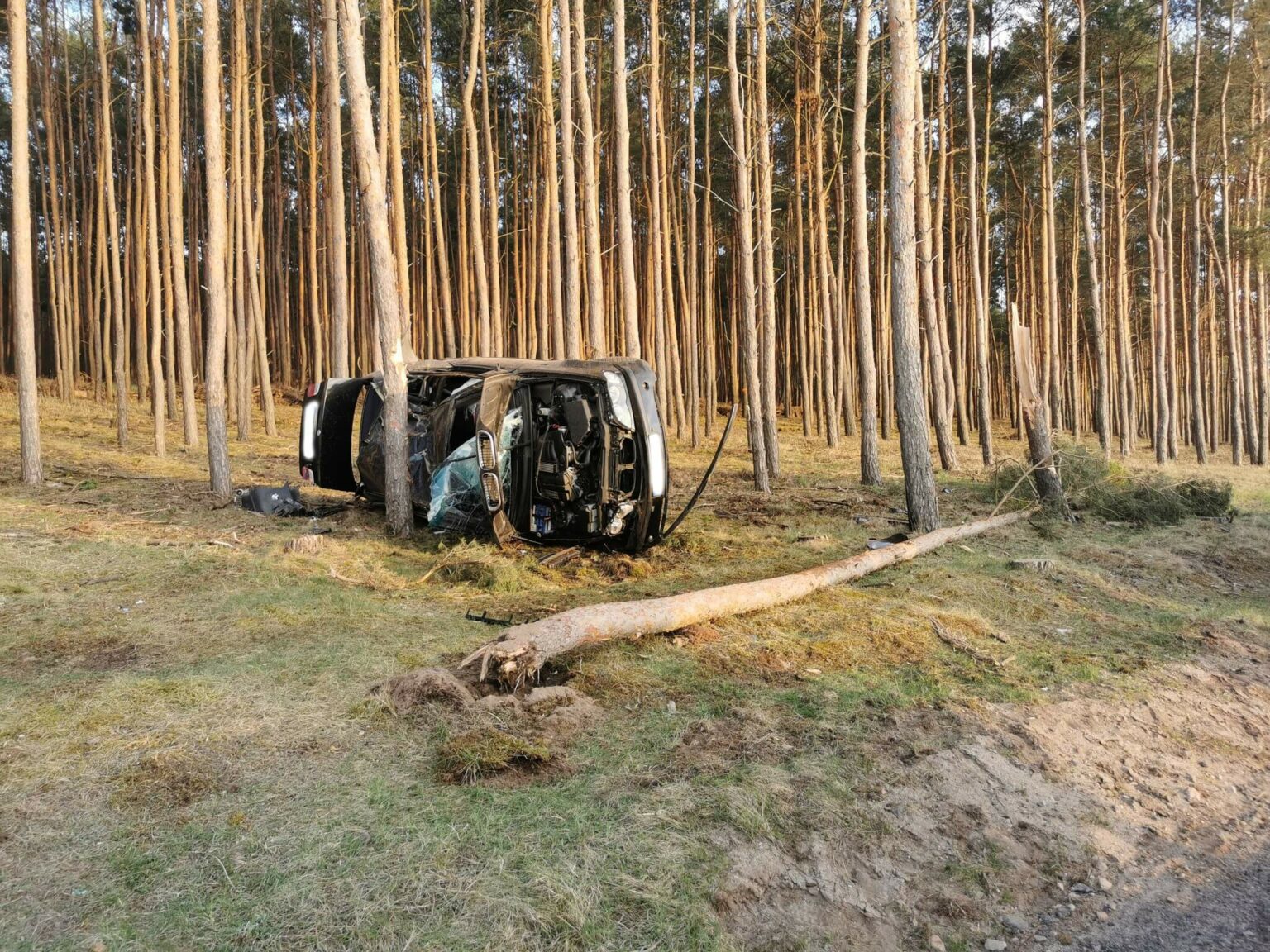 wypadek Cybinka Lubuskie - uderzył w drzewo BMW