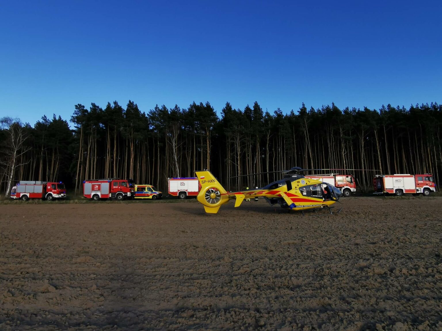 wypadek Cybinka Lubuskie - uderzył w drzewo BMW