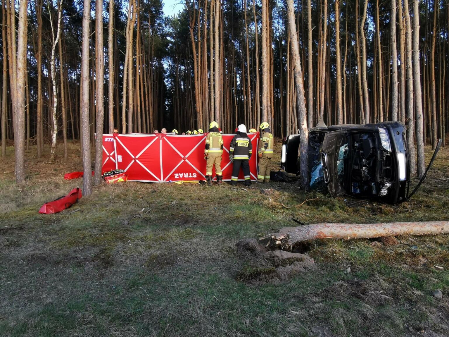 wypadek Cybinka Lubuskie - uderzył w drzewo BMW
