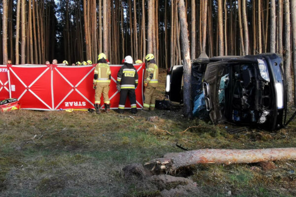 wypadek Cybinka Lubuskie - uderzył w drzewo BMW