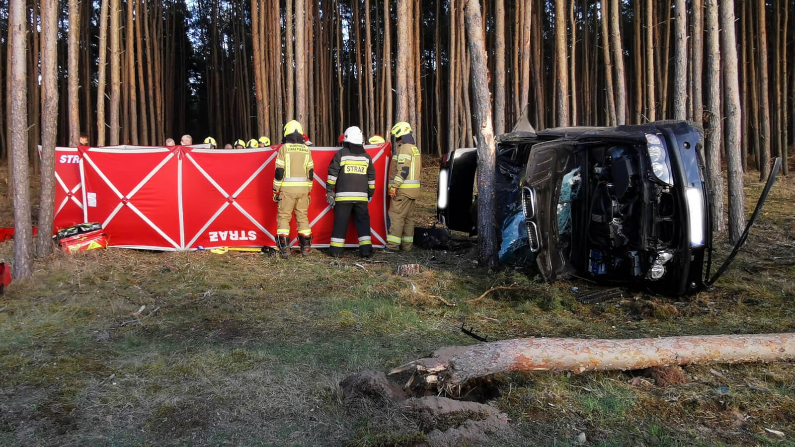 wypadek Cybinka Lubuskie - uderzył w drzewo BMW